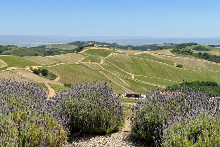 Plan a Wine Weekend in Central CA